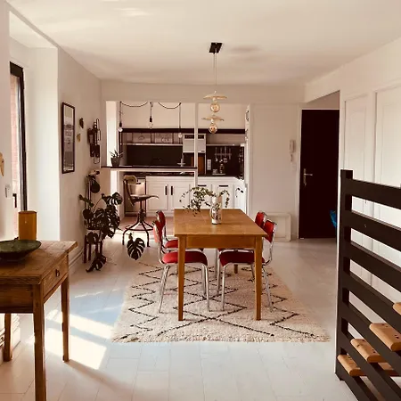 Spacieux Duplex En Centre-ville Garage Box * Επερνέ